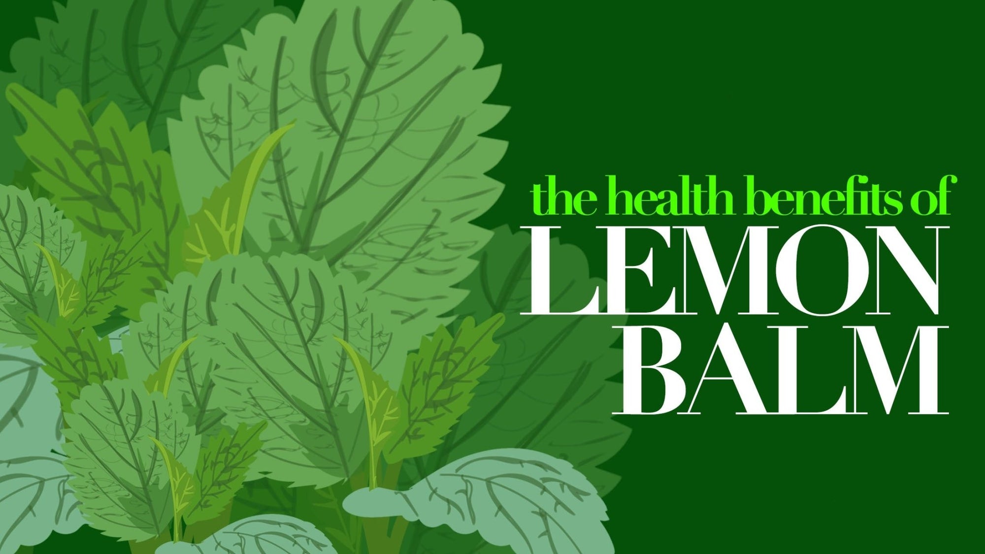 The Health Benefits of Lemon Balm - The Functional Chocolate Company